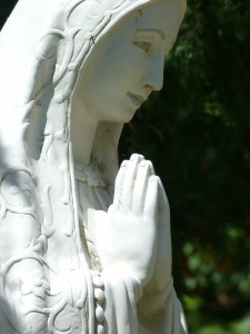 Mother of God Pray for Us! © SalveMaterDei.com, 2011 EA photographer