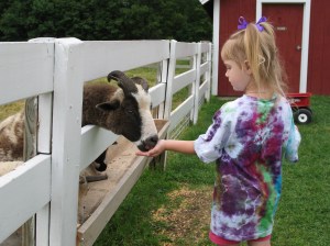 Feed my Lambs! © SalveMaterDei.com, 2011-2012