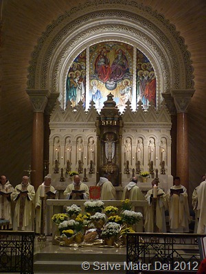 Immerse the souls of priests and religious in His Mercy. © SalveMaterDei.com, 2012