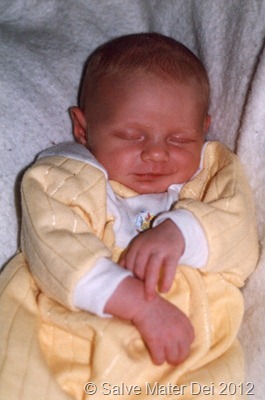 Become a Living, Breathing, Image of Christ. . . © SalveMaterDei.com, 2012