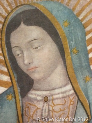 Holy Mother of God, pray for us! © SalveMaterDei.com, 2012. EA photographer