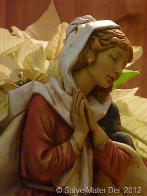 A Virgin Shall Conceive and Bear a Son © SalveMaterDei.com, 2012