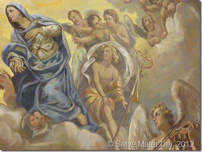 Mary Full of Grace, Intercede for Us!  © SalveMaterDei.com, 2012. EA Photographer