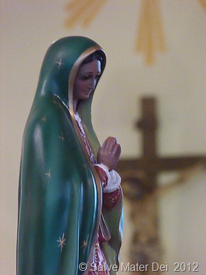 Lead Us to Your Divine Son, Jesus! © SalveMaterDei.com, 2012.