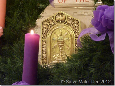 His Splendor Fills the Earth © SalveMaterDei.com, 2012, GM photographer