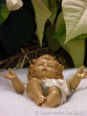 We must be Prepared to Welcome both the Christ in the Crib and One on the Cross.