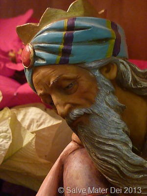 Where is the Newborn King of the Jews? We Have Come to Do Him Homage. © SalveMaterDei.com, 2013. EA Photo