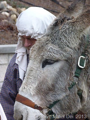 With the Humility of Shepherds, We are called to Glorify God even in Mundane Tasks. © Salve Mater Dei 2013