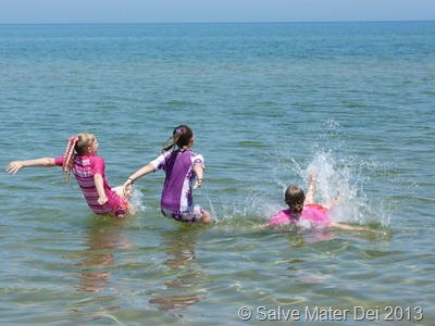 With Reckless Abandon, I would Live . . . © SalveMaterDei.com, 2013