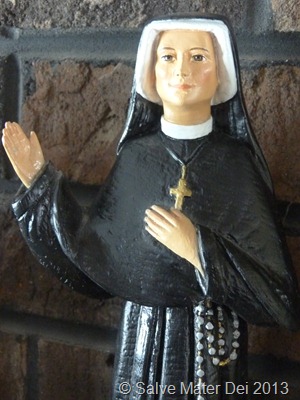 St. Maria Faustina, Please Pray for Us! © SalveMaterDei.com, 2013