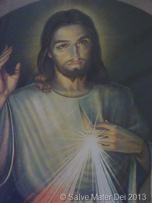 Jesus I Trust in You! the Divine Mercy Image © Salve Mater Dei 2013