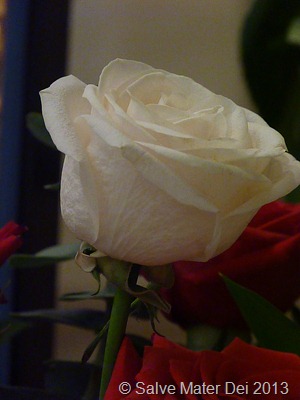 Sorrow turns to Joy! © SalveMaterDei.com, 2013.