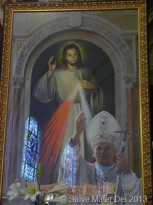 Dives Misericordia!  © SalveMaterDei.com, 2013
