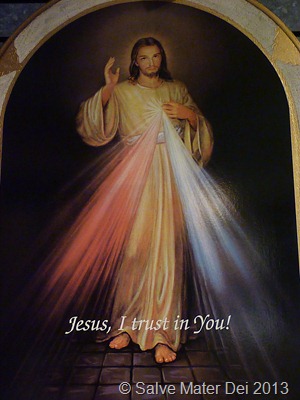 Proclaim My Mercy! © SalveMaterDei.com, 2013.