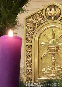 "Let us casts off the darkness and put on the armor of light." © SalveMaterDei.com, 2013.