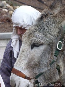 "Today we embark upon a pilgrimage. . . a Journey from Nazareth to Bethlehem." © SalveMaterDei.com, 2013.