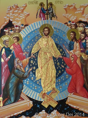 "Christ is risen from the dead, trampling down death, and upon those in the tombs, bestowing life." © SalveMaterDei.com, 2014